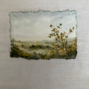 Misty meadow