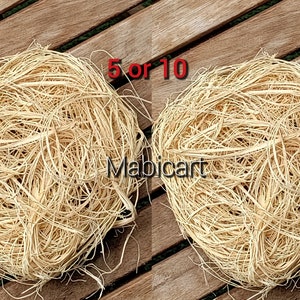 May include: Two bundles of natural, light brown, shredded wood fibers, also known as wood wool, for packing and crafting. The text "5 or 10" is visible in the image.