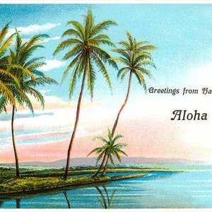 Saudações das ilhas havaianas, Aloha Nui - imagem reimpressa vintage, cartão postal