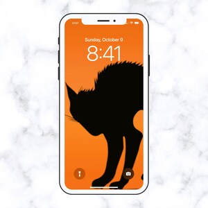 Halloween cute iPhone wallpaper, scary cat wallpaper, star wallpaper, digital downlaod