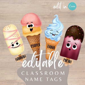 Editable Classroom Name Tags | Summer Ice Cream Tags for Cubby Nametag | Classroom Tags Coat Hanger Cubbies Popsicle Summer Class Decor