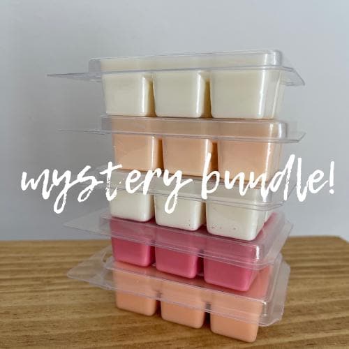 Mystery Soy Wax Melt Bundle | Surprise Scents! | Includes 4 soy wax melt clamshells | highly scented wax melts
