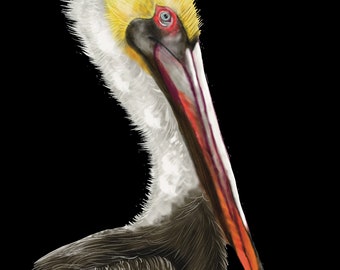Pelican Watercolor Digital