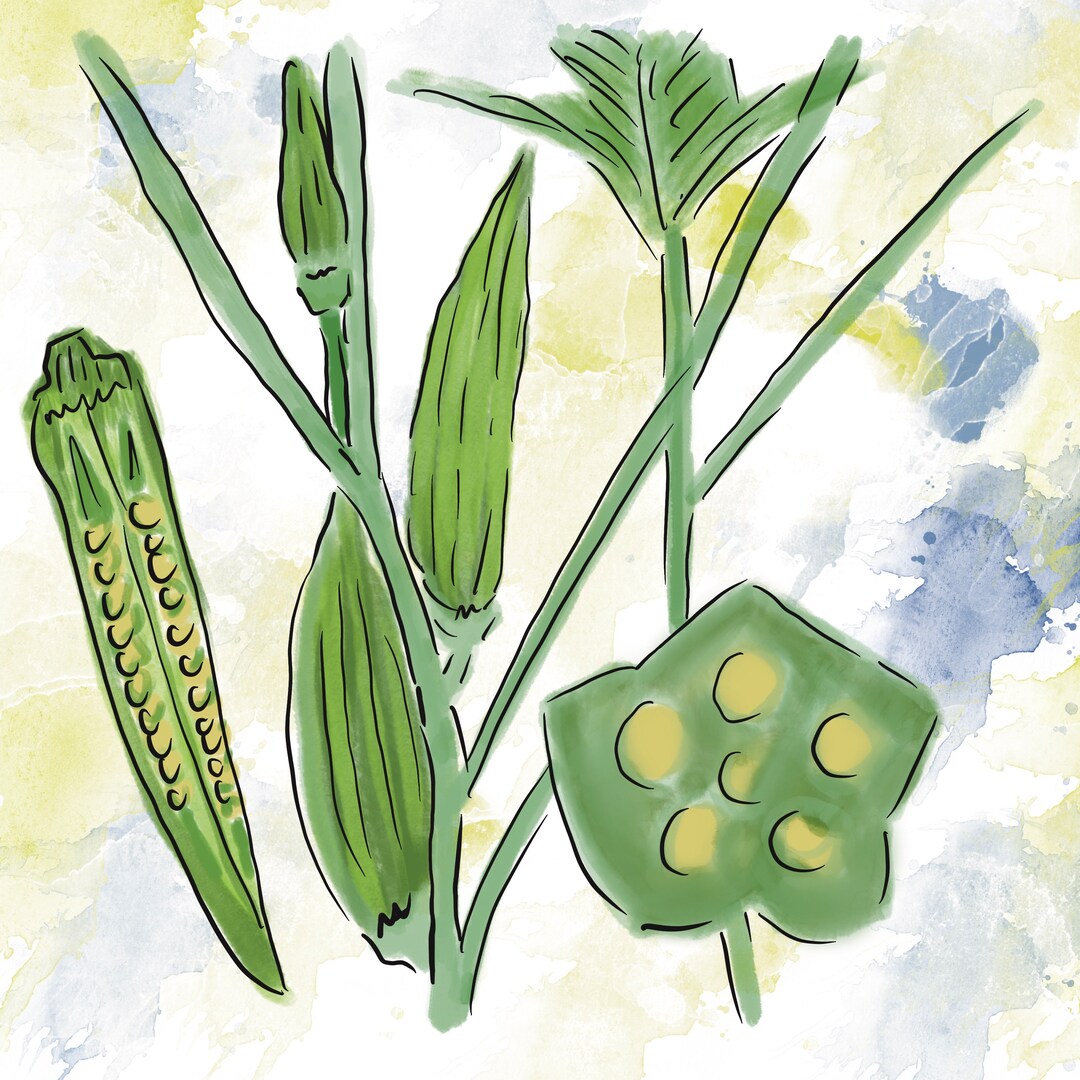 Okra Watercolor Digital Painting Etsy