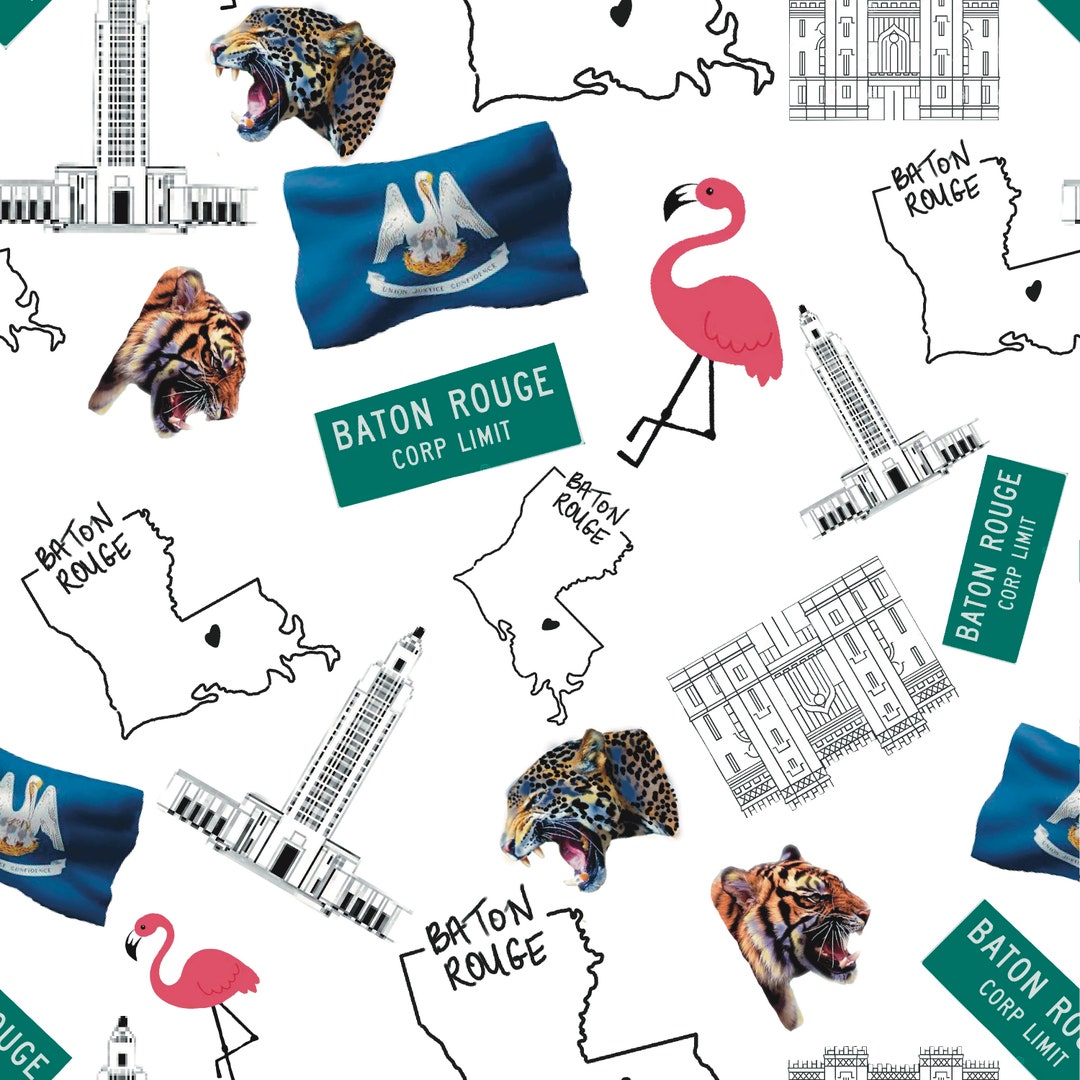 Baton Rouge Louisiana Seamless Pattern - Etsy