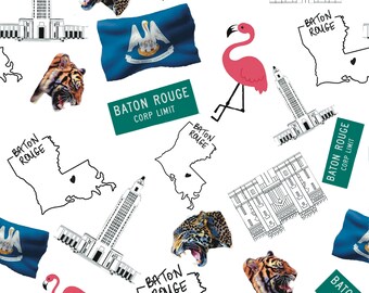 Baton Rouge Louisiana Seamless Pattern