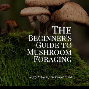 Könnte beinhalten: Nahaufnahme einer Gruppe von Pilzen, die auf einem moosbewachsenen Baumstamm wachsen. Der Text "THE BEGINNER'S GUIDE TO MUSHROOM FORAGING" ist in weißen Buchstaben auf schwarzem Hintergrund geschrieben. Der Text "Safely Exploring the Fungal World" ist in weißen Buchstaben auf schwarzem Hintergrund geschrieben.