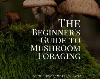 Guía para principiantes sobre la recolección de hongos: Explora el mundo de los hongos de forma segura (Descarga digital)