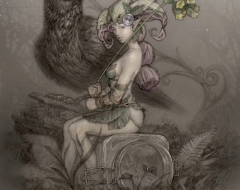 Baraja de Oráculo de las Hadas Nocturnas de Paolo Barbieri