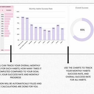 May include: A chart with a purple and white color scheme showing monthly habit progress and success rates. The chart shows the overall success rate is 65%.