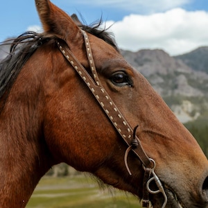 Cabezada de trabajo con orejas divididas - Cabezada occidental - Brida occidental - Aparejos de cuero para caballos - Cabezada de cuero premium Ranch Hand