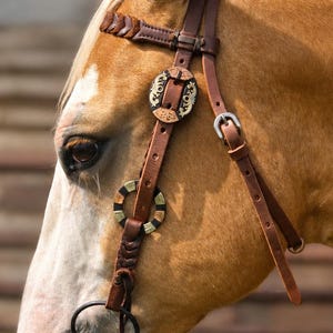 Twisted Iron - Goldstruck Metal Ring Browband Headstall - Western Headstall - Western Bridle- Leather Horse Tack - Ranch Hand Premium