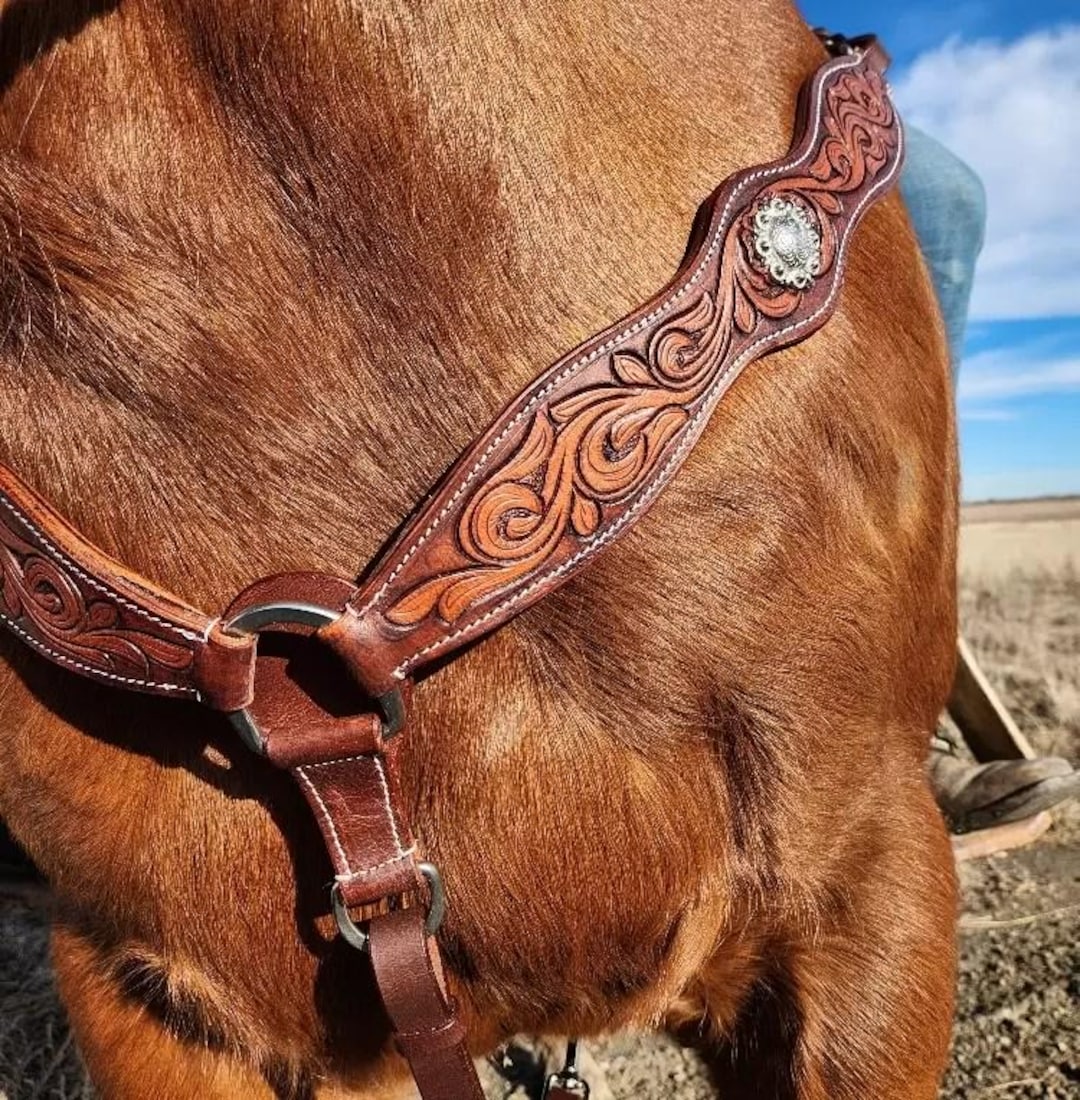 How to make a western breast collar in leathercrafting