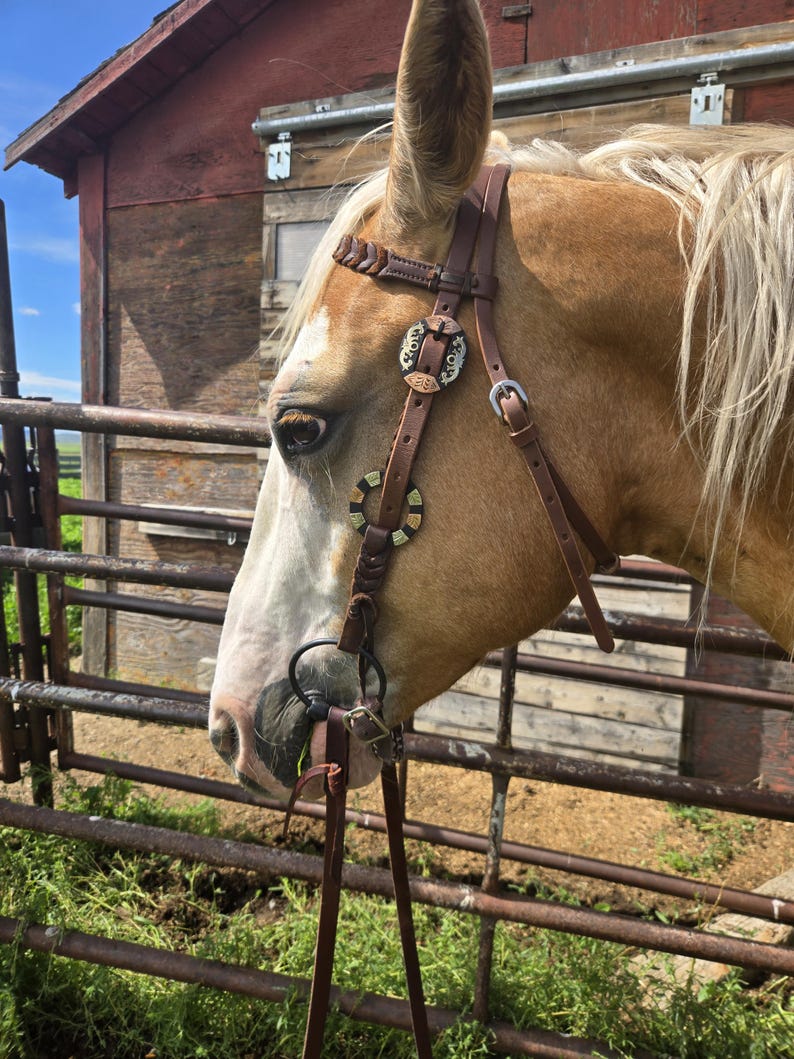 Twisted Iron- Goldstruck Metal Ring Browband Headstall - Western Headstall - Western Bridle- Leather Horse Tack - Ranch Hand Premium Leather image 4