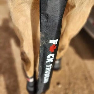 Tail Bag- F*** Trudeau- Buy1 Get 1 Free!!