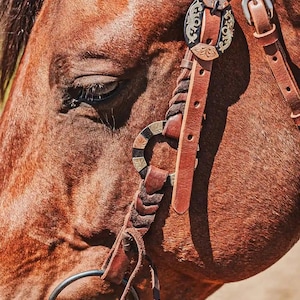 western metal ring headstall metal ring breast collar western horse tack ranch hand premium wenster bridle metal rings twisted iron (30)