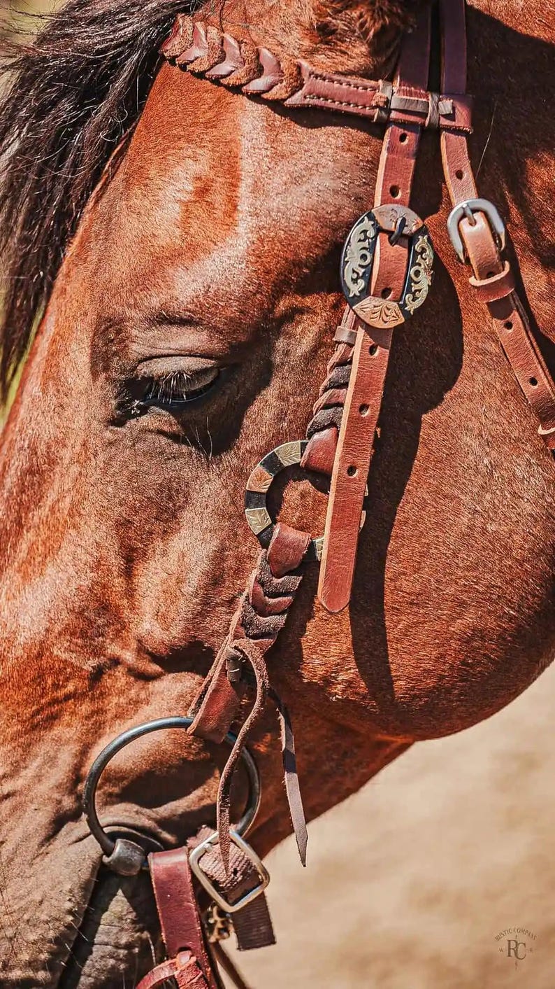 western metal ring headstall metal ring breast collar western horse tack ranch hand premium wenster bridle metal rings twisted iron (30)