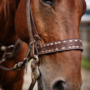 Può includere: Primo piano della testa di un cavallo marrone con una briglia in cuoio. La briglia presenta cuciture decorative e finiture metalliche. Il mantello del cavallo è di un ricco colore marrone e il suo occhio è visibile.