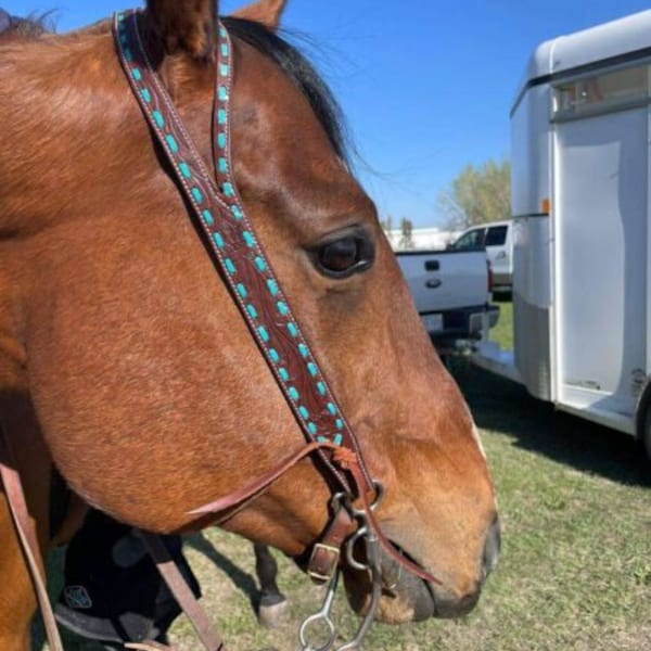 Turquoise Buckstitch Split Ear Headstall - Western Horse Bridle- Horse Lovers' Gifts - Handcrafted Horse Headstall - Split Ear Horse Bridle