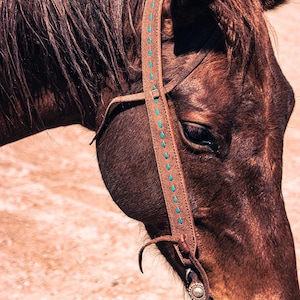Cabezada de orejas divididas High Country - Pespunte turquesa - Cabezada estilo western - Brida western - Arreglo de cuero - Ranch Hand Premium