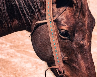 High Country Split Ear Headstall - Turquoise Buckstitch - Western Headstall - Western Bridle- Leather Horse Tack - Ranch Hand Premium
