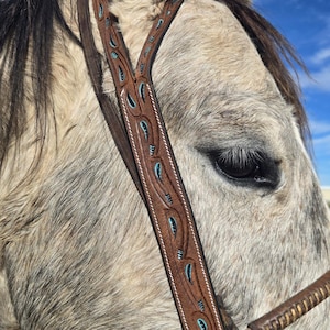 Cabezada de orejas divididas estilo cinturón - Destry - Cabezada occidental - Brida occidental - Aparejo de cuero para caballos - Cabezada de cuero premium Ranch Hand
