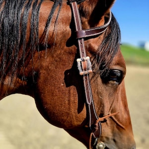 Bride en cuir cactus bleu Arizona - Bride en cuir - Bride western - Bridon western - sellerie en cuir - Cuir de première qualité Ranch Hand