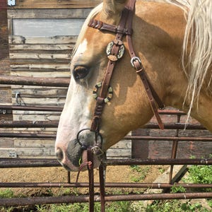 Twisted Iron- Goldstruck Metal Ring Browband Headstall - Western Headstall - Western Bridle- Leather Horse Tack - Ranch Hand Premium Leather image 5
