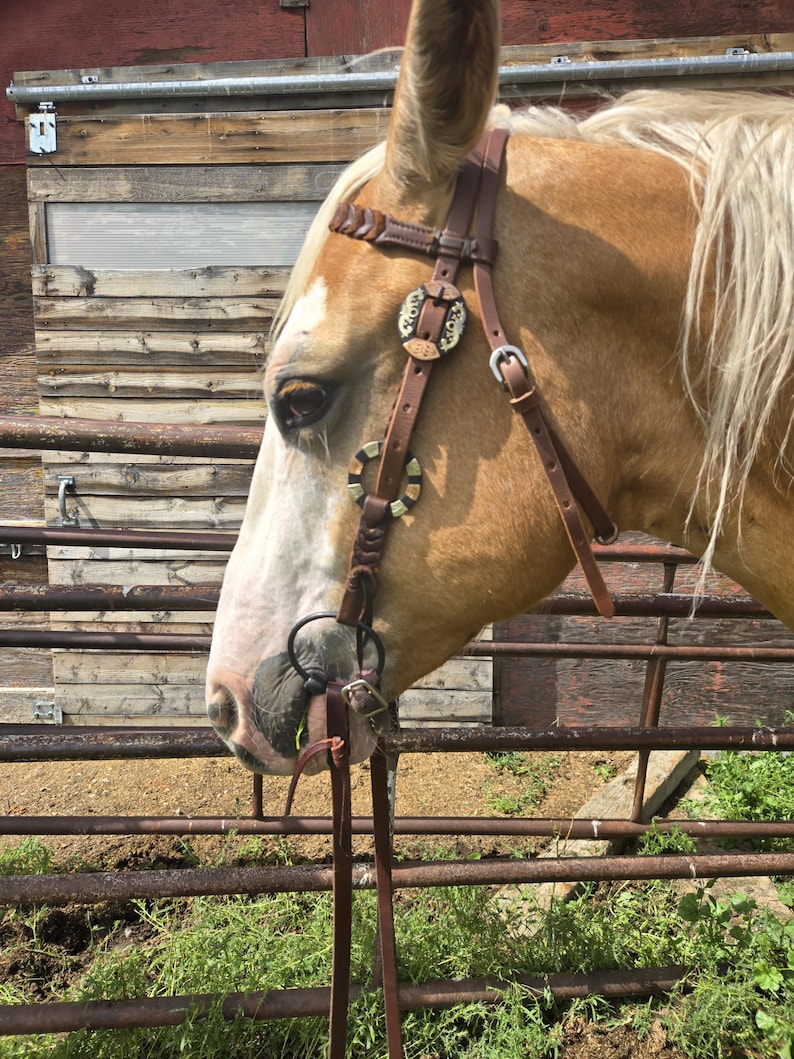 Twisted Iron- Goldstruck Metal Ring Browband Headstall - Western Headstall - Western Bridle- Leather Horse Tack - Ranch Hand Premium Leather image 5