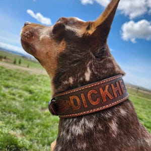 DICKHEAD Leather Dog Collar - Soft Leather, Water & Weather Resistant, Adjustable, Bold Statement for Your Bad Dog- Funny Gift For Dog Lover