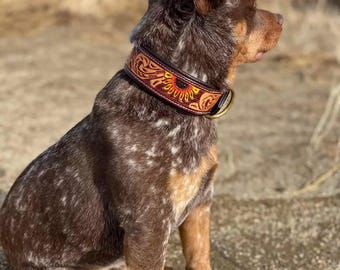 Leather Dog Collar- Brown Eyed Susan -  Handmade Western Leather Dog Collar - Premium Full-Grain, Durable & Stylish Dog Collars
