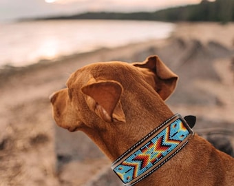 Pode incluir: Um cão castanho a usar uma coleira de cão de couro com contas com um padrão geométrico azul, vermelho, amarelo e preto.