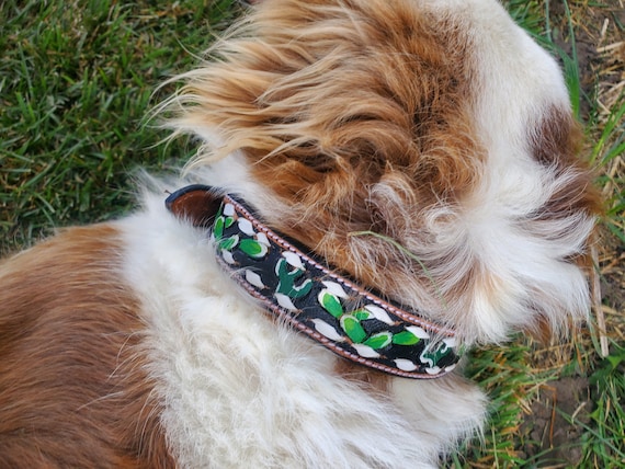 Leather Dog Collar Saguaro Cactus Arizona High Quality
