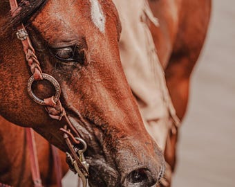 Twisted Iron Rose Gold One Ear Headstall | Metal Ring Bridle | Metal Ring Headstall | Western Leather Horse Tack