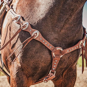 Peut inclure: Gros plan sur une poitrail en cuir marron pour cheval, orné d'éléments argentés. Le poitrail est orné de clous décoratifs et de détails métalliques. La poitrine du cheval est visible, mettant en valeur le design et le savoir-faire de la sellerie.