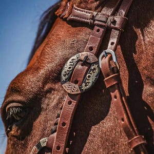western metal ring headstall metal ring breast collar western horse tack ranch hand premium wenster bridle metal rings twisted iron (31)
