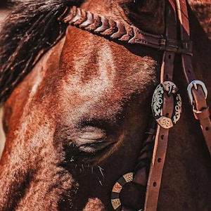 western metal ring headstall metal ring breast collar western horse tack ranch hand premium wenster bridle metal rings twisted iron (32)