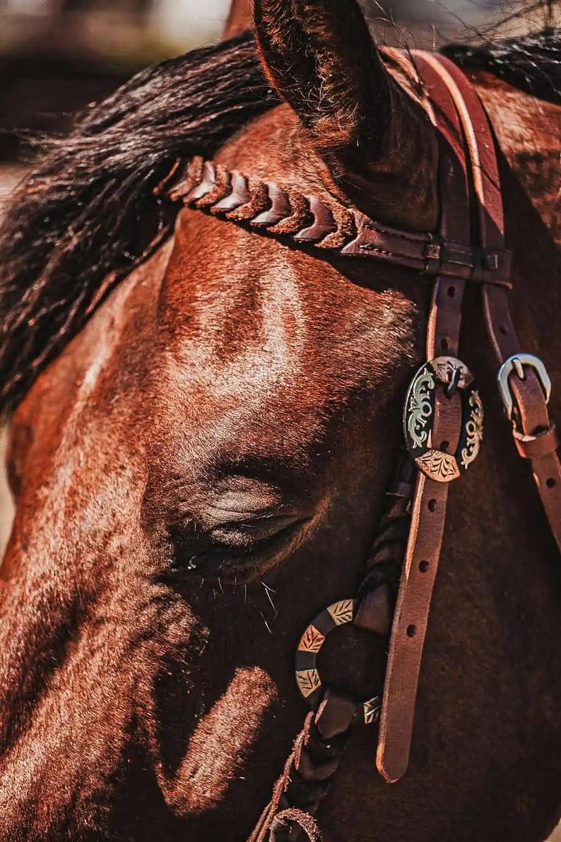 western metal ring headstall metal ring breast collar western horse tack ranch hand premium wenster bridle metal rings twisted iron (32)