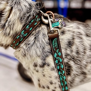 Leather Leash- Turquoise Buckstitch