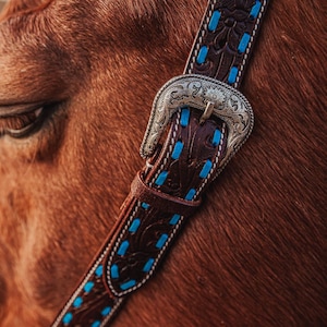 Cabezada de orejas divididas estilo cinturón turquesa con herramientas - Bridas para caballos - Resistente - Ajustable