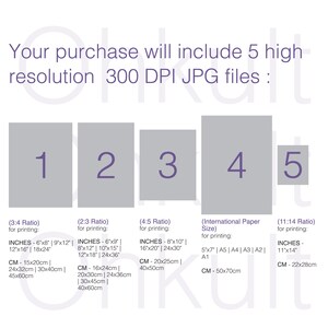 May include: A graphic showing five different aspect ratios for digital images, with their corresponding measurements in inches and centimeters. The aspect ratios are 3:4, 2:3, 4:5, International Paper Sizes, and 11:14.