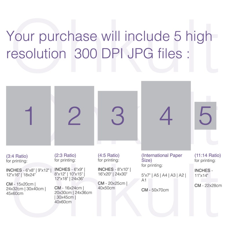 May include: A graphic showing five different aspect ratios for digital images, with their corresponding measurements in inches and centimeters. The aspect ratios are 3:4, 2:3, 4:5, International Paper Sizes, and 11:14.