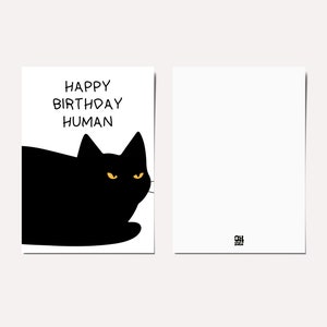 May include: A black cat with yellow eyes looking to the right. The cat is lying down and the text "HAPPY BIRTHDAY HUMAN" is above the cat.