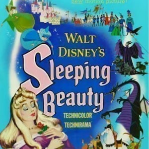ヴィンテージ US ワンシート オリジナル映画ポスター「眠れる森