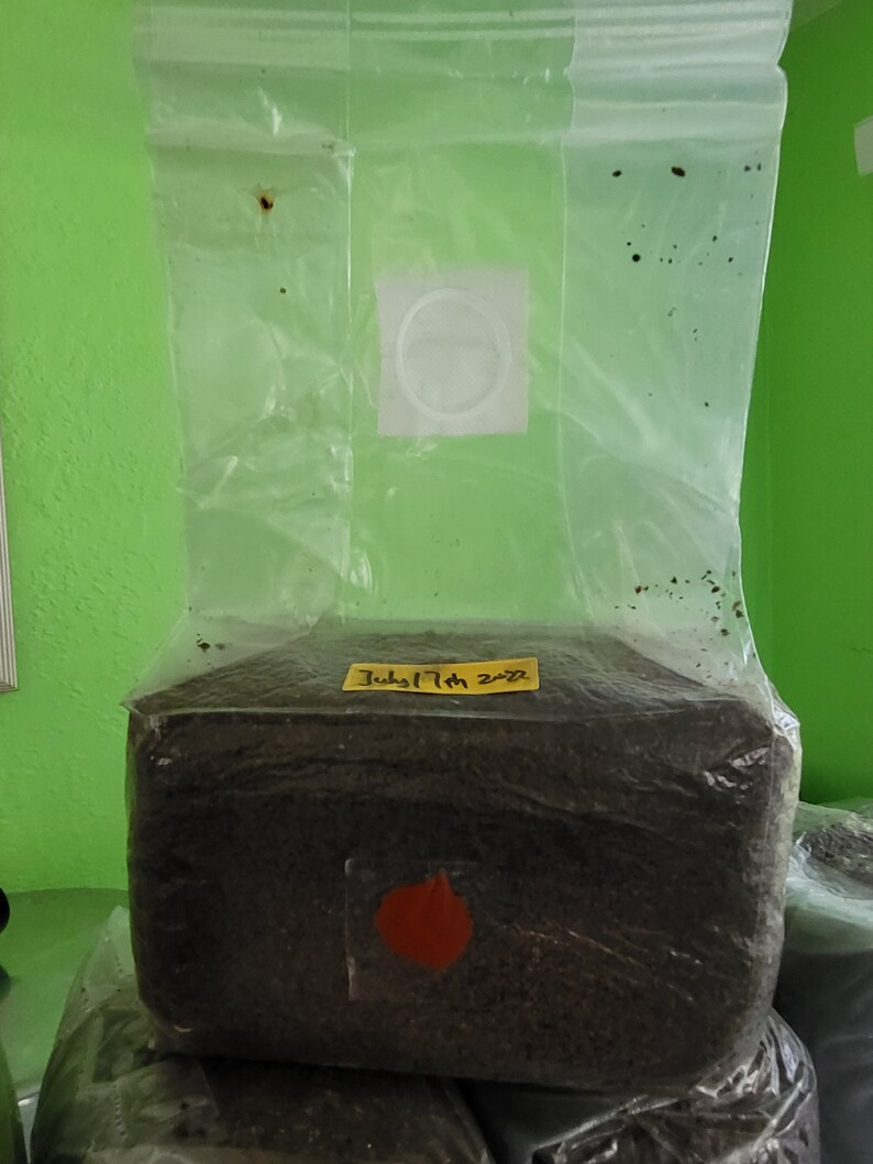 Sterilized All in One Mushroom Grow Bag With Selfhealing Injection