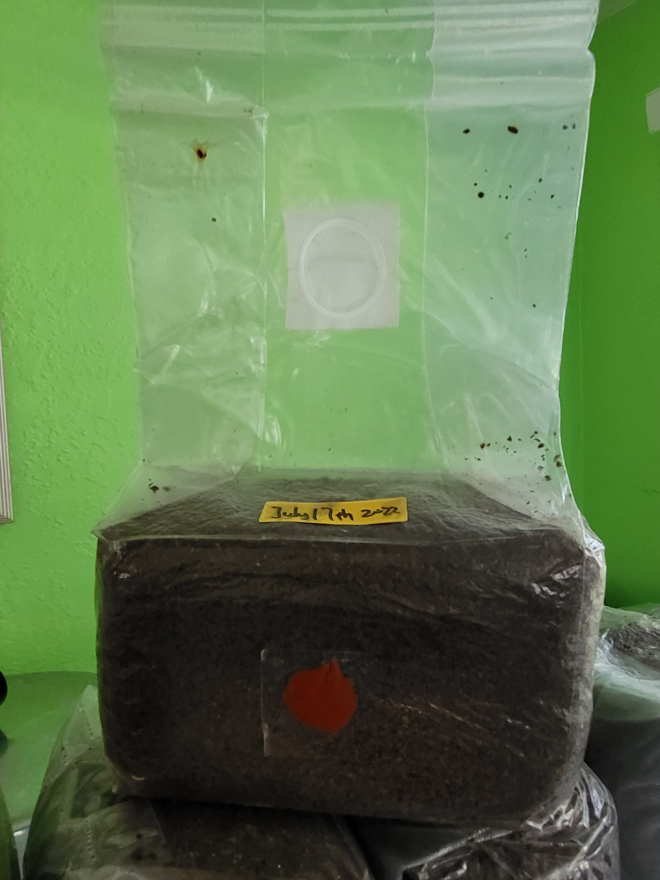 Sterilized All in One Mushroom Grow Bag With Selfhealing Injection