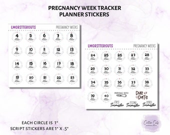 Pregnancy Planner Stickers Pregnancy Tracker 3 to 41 Weeks Pregnancy ...