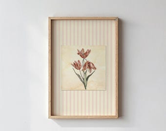 Vintagetryck med röd tulpan – Europeisk blommig väggkonst, antik botanisk illustration