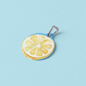 Custom Lemon Pet ID Tag, Personalized Summer Dog Tag, Cute Fruit Pet Name Tag, Custom Citrus Collar Charm, Double-Sided Pet Tag, Pet Gift
