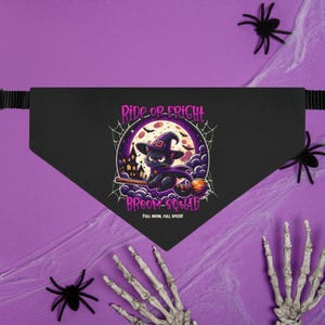 Cat Bandana Halloween, witch cat bandana, broom squad cat bandana, cat bandana, halloween bandana, fall cat bandana, cat witch costume